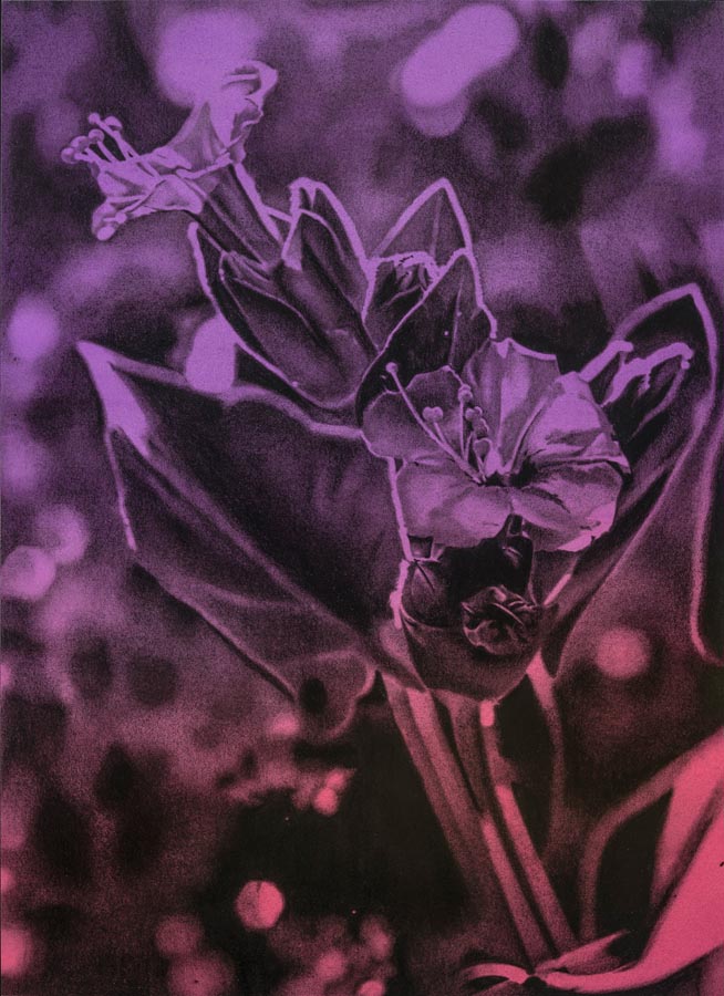 The Sad Thing About Life Is