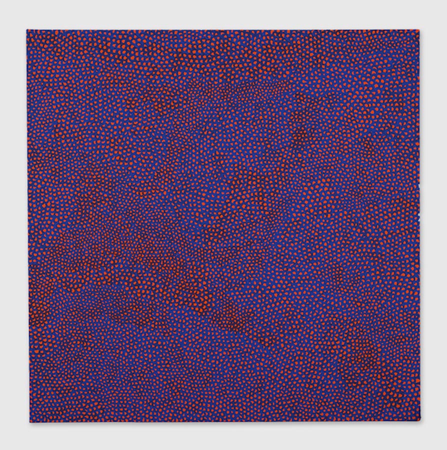 INFINITY-NETS [XDHIM]