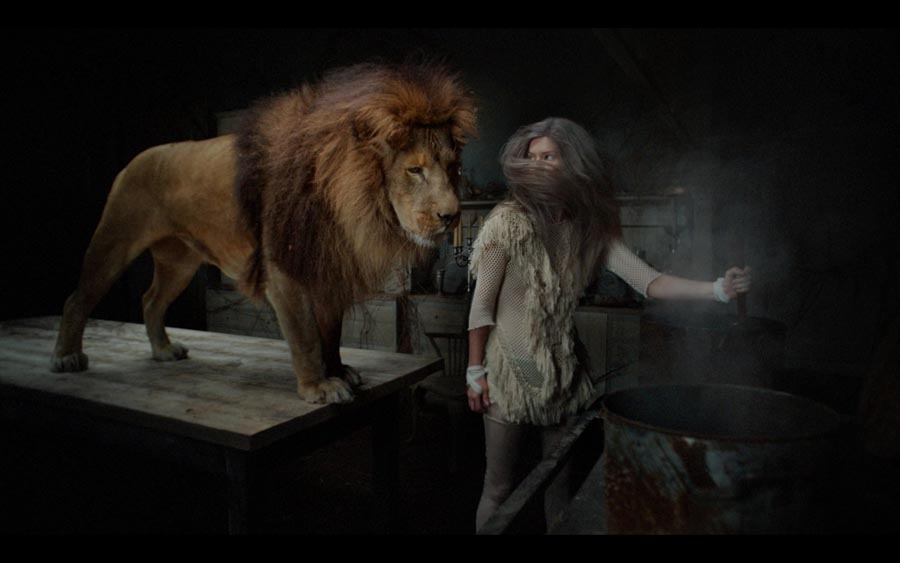 The Hunting Project: Lion 001