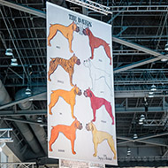 Gregory Blackstock banners, Seattle Art Fair 2019