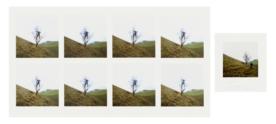 Hawthorn Tree Shake, Penpont, Dumfriesshire , February 2008