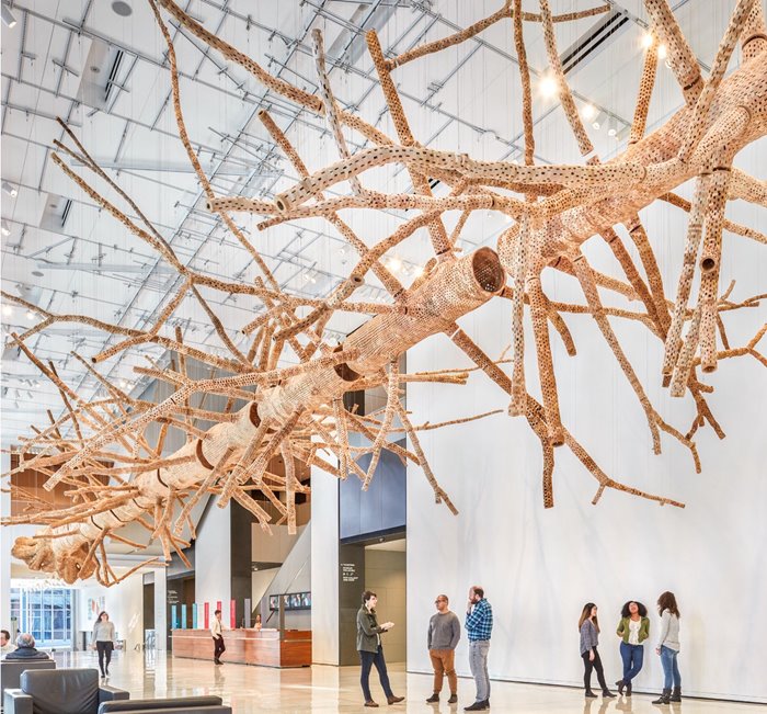 John Grade's "Middle Fork."