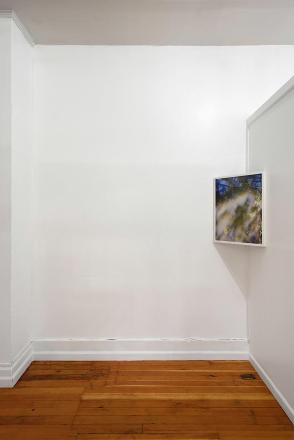 Indifferent Horizons