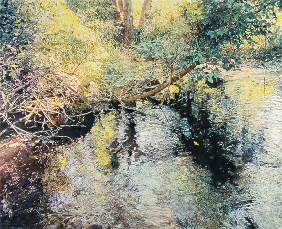 Moment at Cedarburg Creek